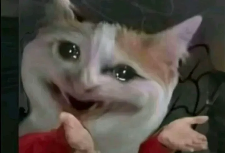 1 wct95rAe jYqLcRyJo0uWw